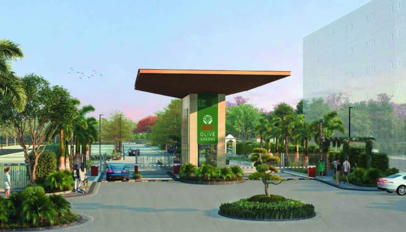 Modern Living at Sadan M2K Olive Greens Dhanwapur Gurgaon